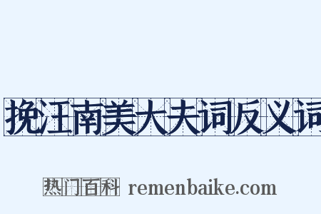 挽汪南美大夫词反义词是什么意思的图片